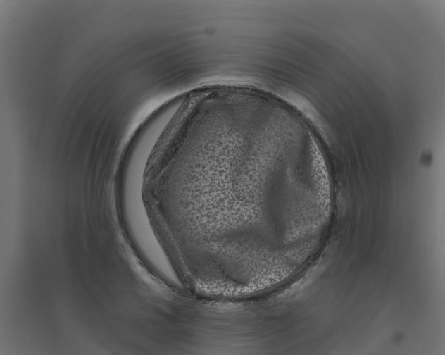 X0000094181030200711241548