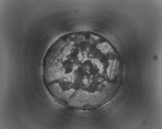 X0000094181031200711241548