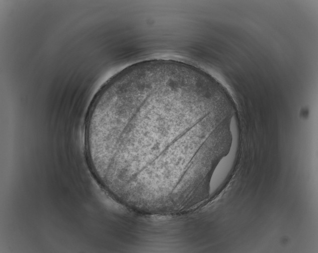 X0000094181032200711241548