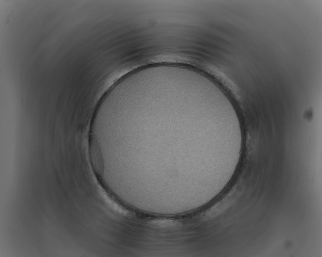 X0000094181033200711241548