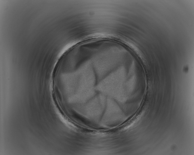 X0000094181034200711241548