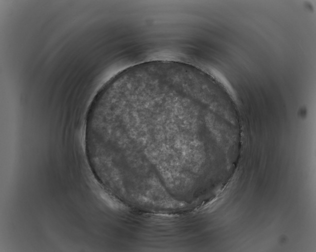 X0000094181035200711241548
