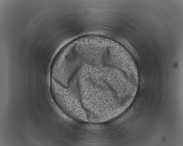 X0000094181036200711241548