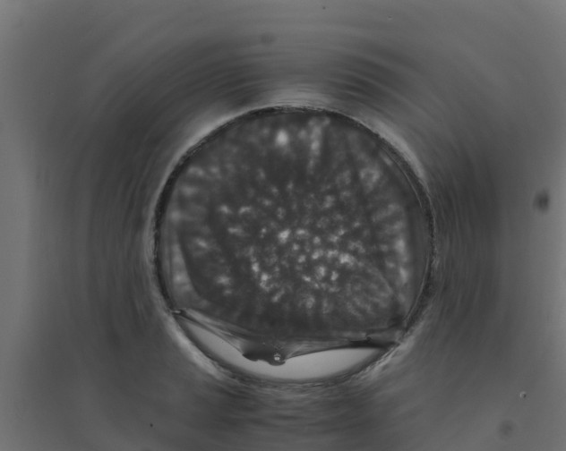 X0000094181037200711241548