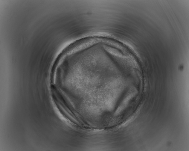 X0000094181038200711241548