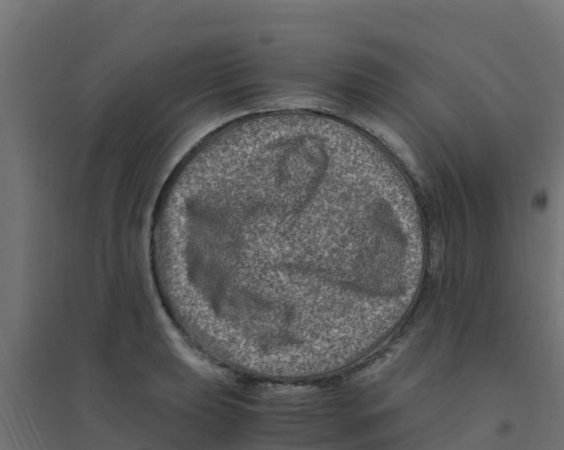 X0000094181039200711241548