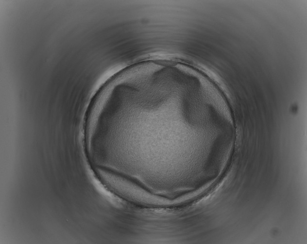X0000094181042200711241548