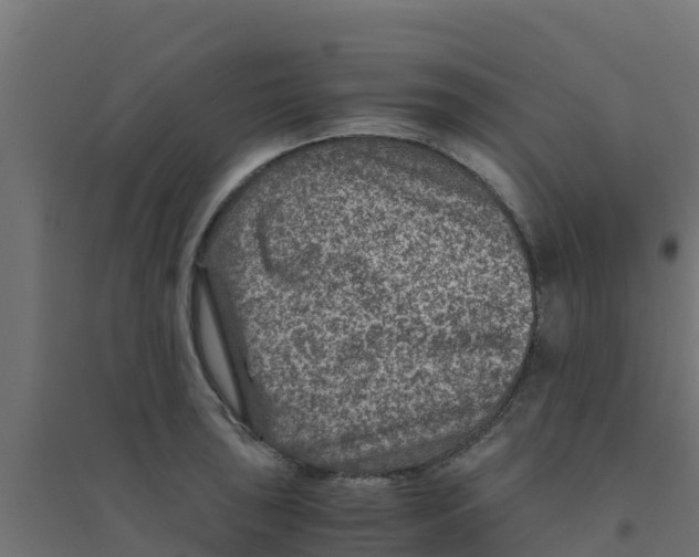 X0000094181043200711241548
