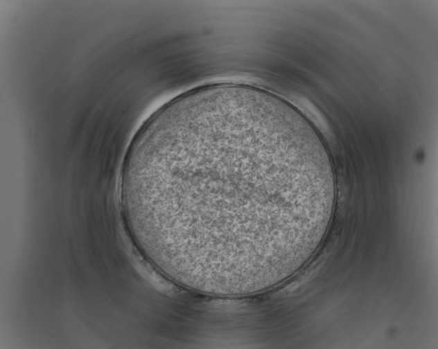 X0000094181044200711241548