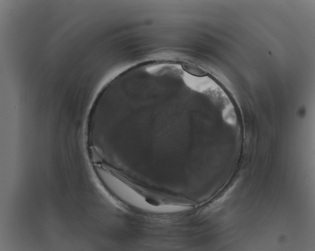 X0000094181045200711241548