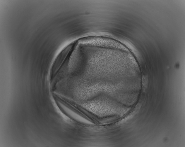 X0000094181046200711241548