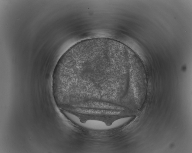 X0000094181047200711241548