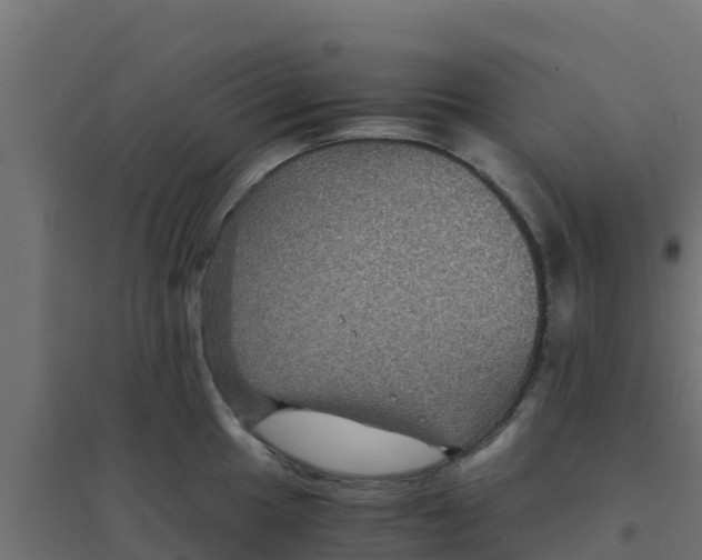 X0000094181049200711241549