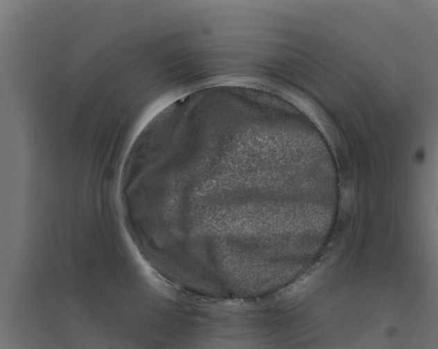 X0000094181050200711241549