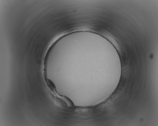 X0000094181051200711241549