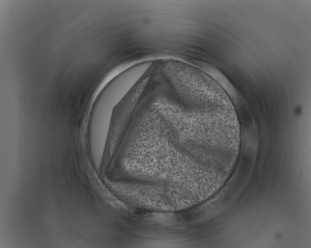 X0000094181052200711241549