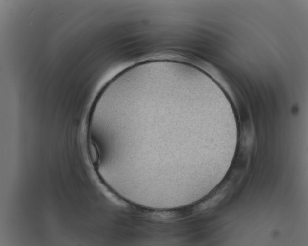 X0000094181053200711241549