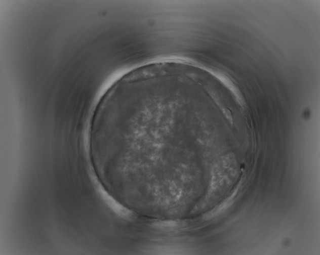 X0000094181054200711241549