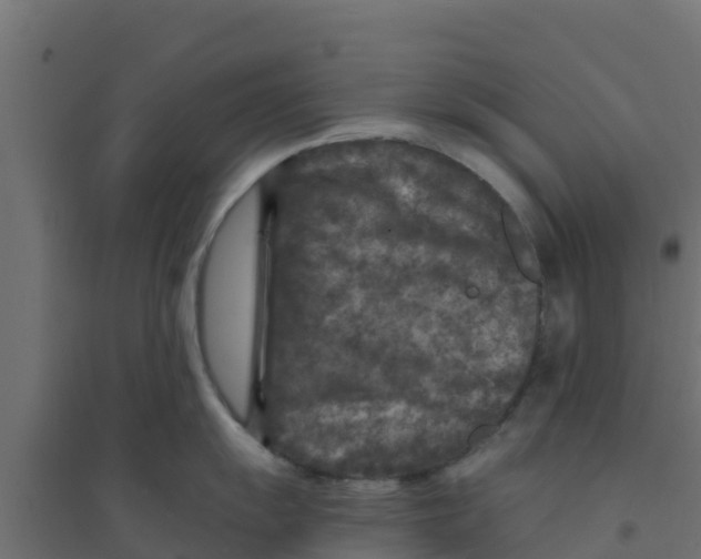 X0000094181055200711241549