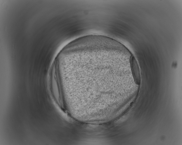 X0000094181056200711241549