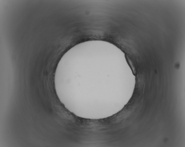 X0000094181057200711241548