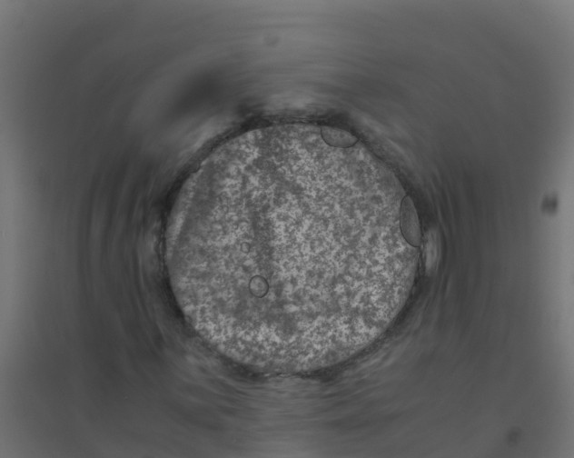 X0000094181059200711241548