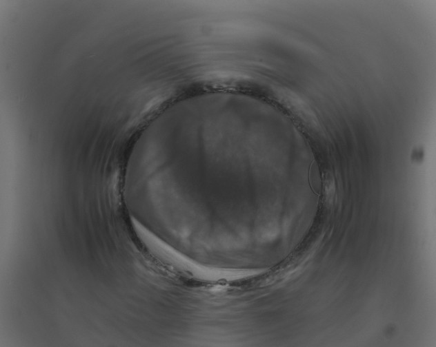 X0000094181060200711241548