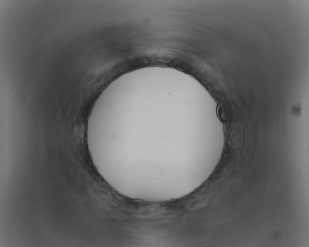 X0000094181061200711241548