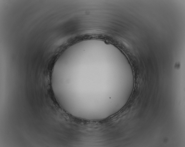 X0000094181062200711241548