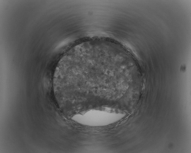 X0000094181063200711241548
