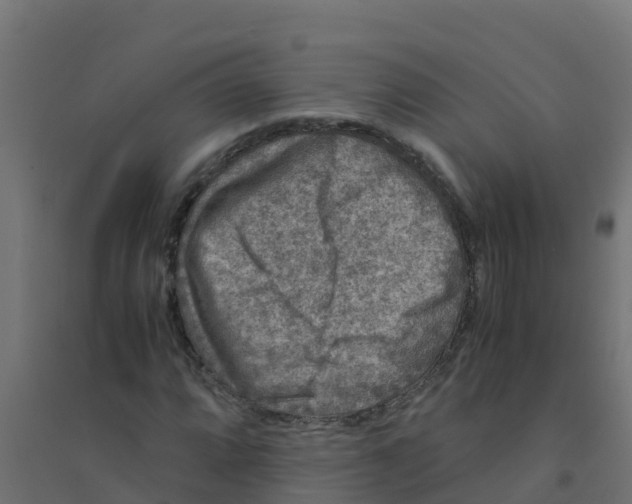 X0000094181064200711241548