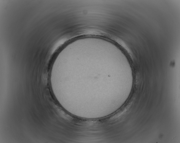 X0000094181067200711241548
