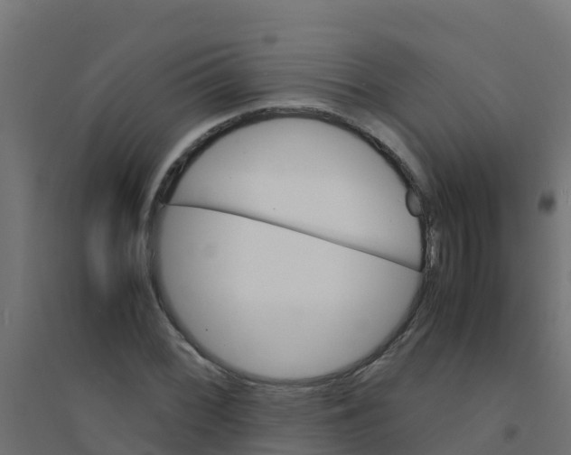 X0000094181068200711241548