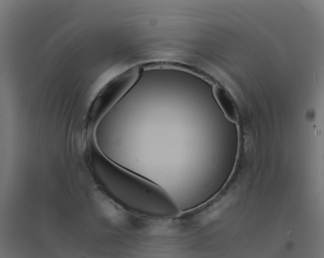 X0000094181069200711241548