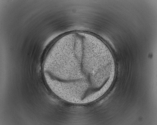 X0000094181070200711241548