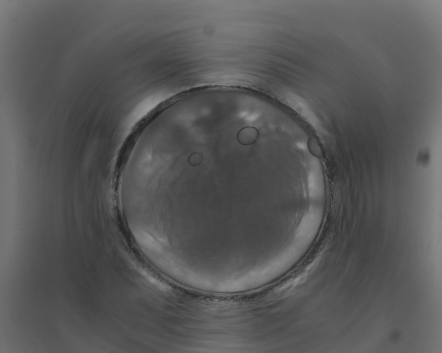 X0000094181071200711241548