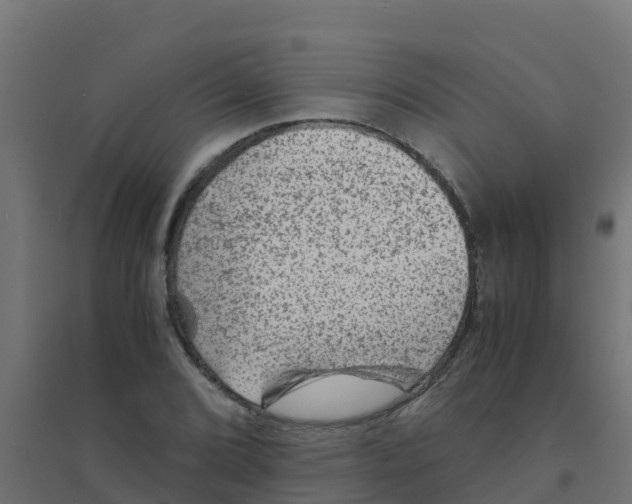 X0000094181072200711241548