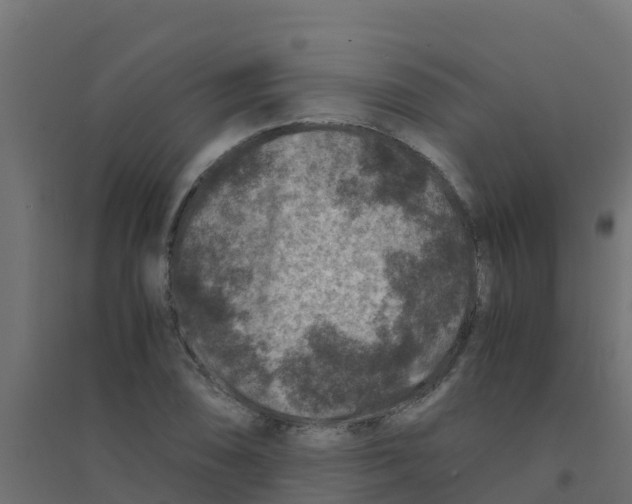 X0000094181074200711241548
