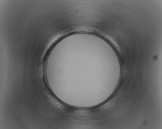 X0000094181075200711241548
