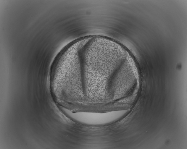 X0000094181076200711241548