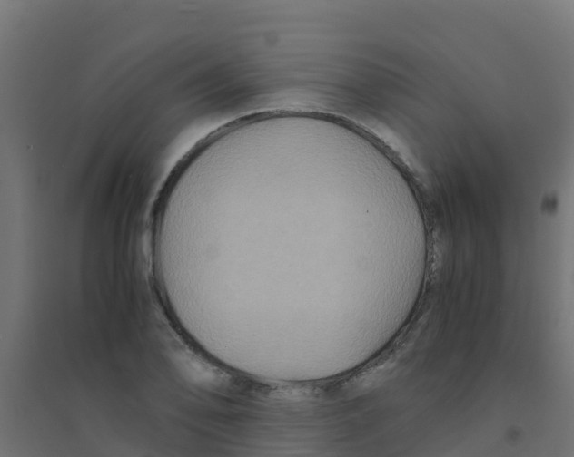 X0000094181078200711241547