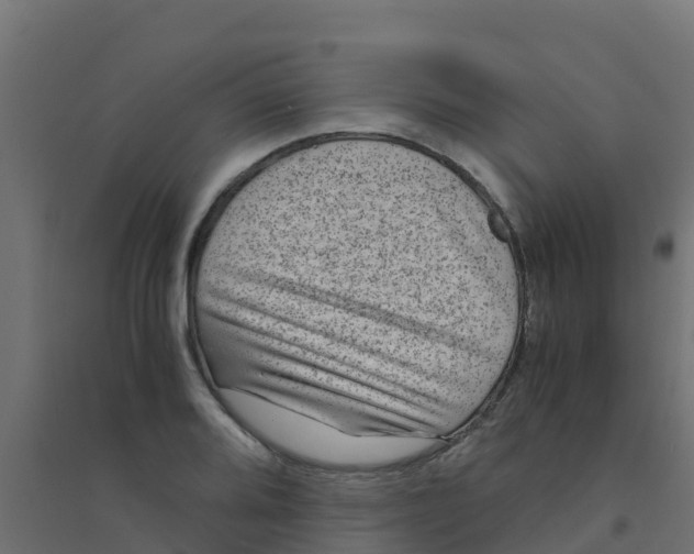 X0000094181080200711241547