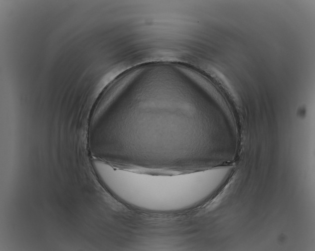 X0000094181081200711241547