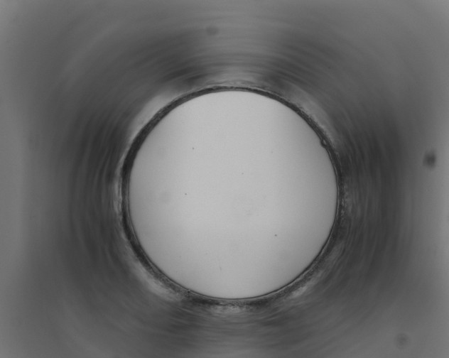 X0000094181082200711241547