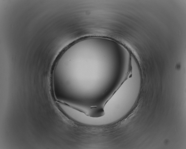 X0000094181085200711241547