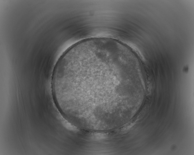X0000094181086200711241547