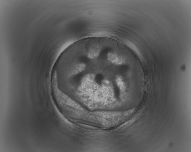 X0000094181087200711241547