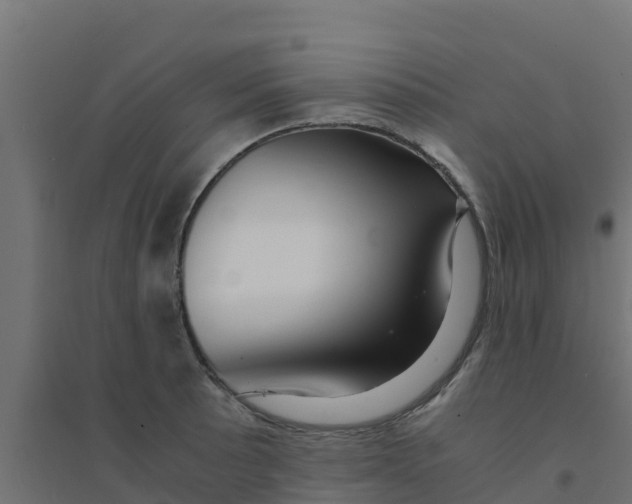 X0000094181089200711241547