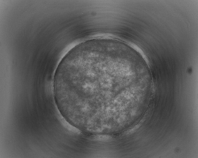 X0000094181090200711241547