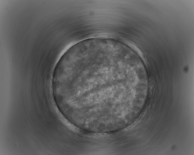 X0000094181091200711241547